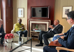 شكري يلتقي السكرتير التنفيذي لاتفاقية الأمم المتحدة لتغير المناخ