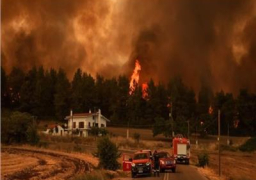 النمسا تقدم مساعدات إلى سلوفينيا لمكافحة حرائق الغابات