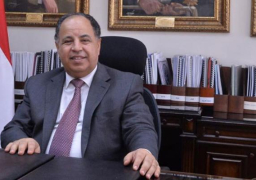 المالية: 3 مليارات جنيه ضرائب ورسوم بجمارك السخنة يونيو الماضي