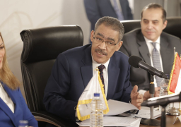 رشوان : كل جلسات الحوار الوطنى ستكون مسجلة