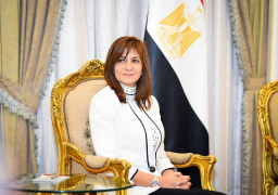 الهجرة:541 مصريا بالخارج سجلوا للمشاركة بمؤتمر الكيانات المصرية الثالث