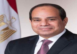 الرئيس السيسي يستقبل وزير الصناعة والتكنولوجيا المتقدمة بالإمارات