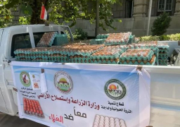 “الزراعة”: تراجع أسعار البيض في البورصة ونواصل ضخ كميات إضافية
