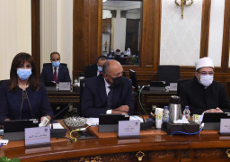 الحكومة: بدء إجراءات تشغيل الطيران منخفض التكاليف “أير سفنكس”