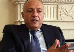 شكرى:المحادثات مع الجانب النمساوي تناولت ملفات فلسطين وسوريا والعراق