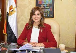 الهجرة: 335 مصريا بالخارج سجلوا للمشاركة في المؤتمر الثالث للكيانات