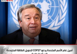 أمين عام الأمم المتحدة يدعو COP27 لتحويل الطاقة المتجددة إلى ثورة دائمة