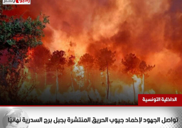 “الداخلية التونسية”: تواصل الجهود لإخماد جيوب الحريق المنتشرة بجبل برج السدرية نهائيًا