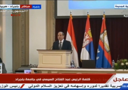 السيسي: مسئولية مصر تجاه التغيرات المناخية يجعلها تستضيف قمة cop 27