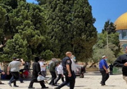 عشرات المستوطنين يقتحمون “الأقصى” بحراسة شرطة الاحتلال