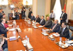 شكري ونظيره النمساوي يبحثان سبل تعزيز التعاون بين البلدين