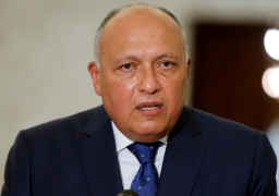 مباحثات مصرية نمساوية بالقاهرة على مستوى وزيري الخارجية