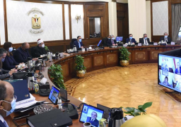 مدبولي: توجيهات رئاسية بدعم النماذج الشابة الناجحة وإبرازها إعلامياً