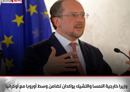 وزيرا خارجية النمسا والتشيك يؤكدان تضامن وسط أوروبا مع أوكرانيا