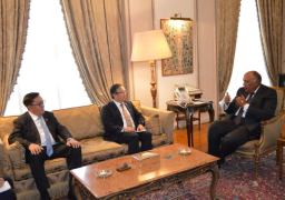 صور..شكري يبحث دفع علاقات التعاون مع نائب وزير خارجية كازخستان