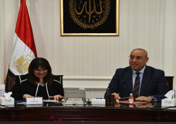 وزيرا الإسكان والهجرة يبحثان سبل التعاون المشترك لإتاحة فرص الاستثمار العقارى للمصريين بالخارج