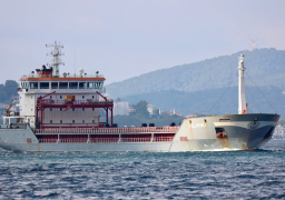 أوكرانيا تعلن وصول أول سفينة محملة بالحبوب إلى وجهتها