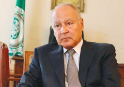 أبو الغيط يعزي الجزائر في ضحايا حرائق الغابات