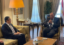 شكري يبحث مع نائب وزير خارجية كازاخستان سبل تطوير العلاقات الثنائية