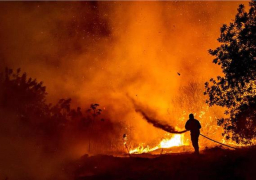 الجزائر: ارتفاع الحصيلة الأولية للوفيات جراء الحرائق لـ 30 شخصا