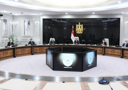 السيسي يطالب الوزراء بالتحلي بالموضوعية والتفاني وترسيخ مبدأ الكفاءة