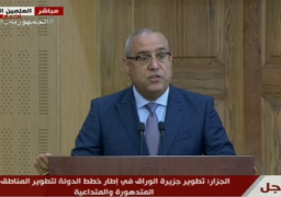 الجزار: يتم تعويض الملاك والمستأجرين بجزيرة الوراق ماليًا واجتماعيًا