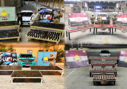 قوات حرس الحدود تكثف جهودها على كافة الاتجاهات الاستراتيجية للدولة