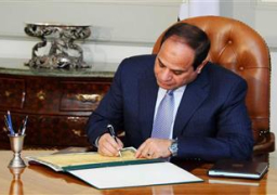 قرار جمهوري باختصاص وزير النقل في تطبيق قانون شركات قطاع الأعمال العام