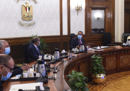 مدبولى:الاستعداد لإطلاق المبادرة الرئاسية للتشجير ” 100 مليون شجرة”