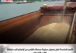 الأمم المتحدة تعلن وصول سفينة محملة بالقمح من أوكرانيا إلى منطقة القرن الأفريقي