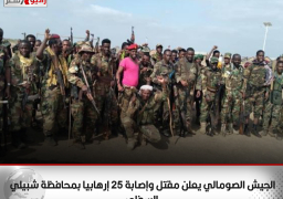 الجيش الصومالي يعلن مقتل وإصابة 25 إرهابيا بمحافظة شبيلي السفلى