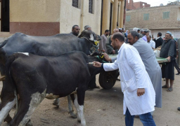 وزير الزراعة: إعطاء أكثر من 3.8 مليون جرعة ضد مرضى الحمي القلاعية