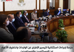 حزمة إجراءات استثنائية لتيسير الإفراج عن الواردات وتخفيف الأعباء عن المستثمرين والمستوردين