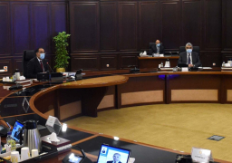 مدبولي يشيد بجهود الرئيس والجهات المصرية في وقف إطلاق النار بغزة