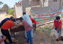 الزراعة: علاج وفحص 1700 ماشية مجانا لصغار المربين بجنوب سيناء