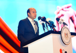 خارجية النواب :القيادة السياسية تؤمن بدور المصريين بالخارج