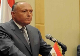 شكري يبحث مع مبعوث المناخ الصيني أهم القضايا خلال cop27