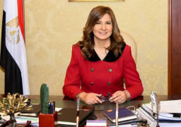 الهجرة تعلن عن تلقى انجازات الكيانات المصرية بالخارج خلال العام الماضي