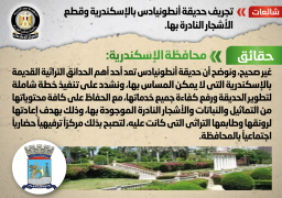 الحكومة تنفي تجريف حديقة أنطونيادس بالإسكندريةوقطع الأشجار النادرة بها