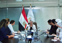 فؤاد: مصر تركز على التحول الأخضر وربط العمل المناخي بالخطط الاقتصادية