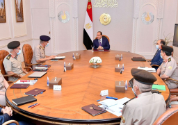 الرئيس السيسي يتابع الموقف التنفيذي للمشروع القومي للإنتاج الزراعي واستصلاح الأراضي في منطقة توشكى