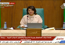 المنقوش وابو الغيط يبحثان مستجدات الاوضاع في المنطقة العربية