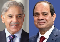 الرئيس السيسي يجرى اتصالا هاتفيا مع رئيس الوزراء الباكستاني لتقديم العزاء في ضحايا الفيضانات