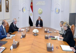 الرئيس السيسي يبحث سبل التعاون مع “ميرسك العالمية” لإنتاج الطاقة الخضراء والوقود النظيف للسفن