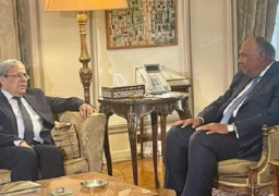 مصر تؤكد دعمها لتونس في الخطوات التي تتخذها نحو الاستقرار والتنمية