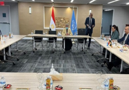 بالصور .. وزيرا خارجية مصر وقبرص يتفقان على تعزيز التعاون التجاري والاقتصادي وتفعيل مذكرة تفاهم الربط الكهربائي