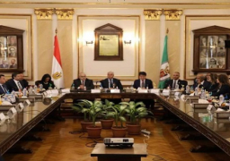 وزير التعليم العالي يشهد فعاليات الحوار العلمي مع المنظمة العالمية للملكية الفكرية بجامعة القاهرة
