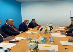 شكري يعرب عن تضامن مصر مع باكستان في ظل الظروف المناخية العصيبة التي تمر بها