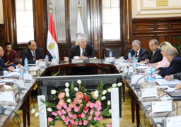 الزراعة تطلق مبادرة التمويل الاخضر للتنمية الزراعية بمليار جنية
