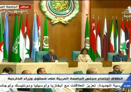 أبوالغيط:تجميد المسار السياسي لحل القضية الفلسطينية جريمة بحق المستقبل